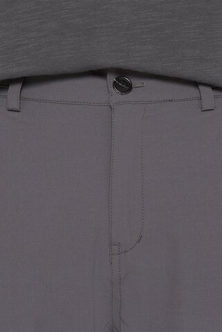 Harlem Soul Regular Cargo Pants in Grey