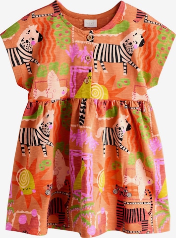 Next Kleid in Orange: Vorderseite