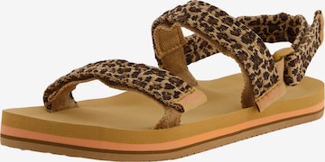 REEF Sandals 'Ahi' in Brown: front