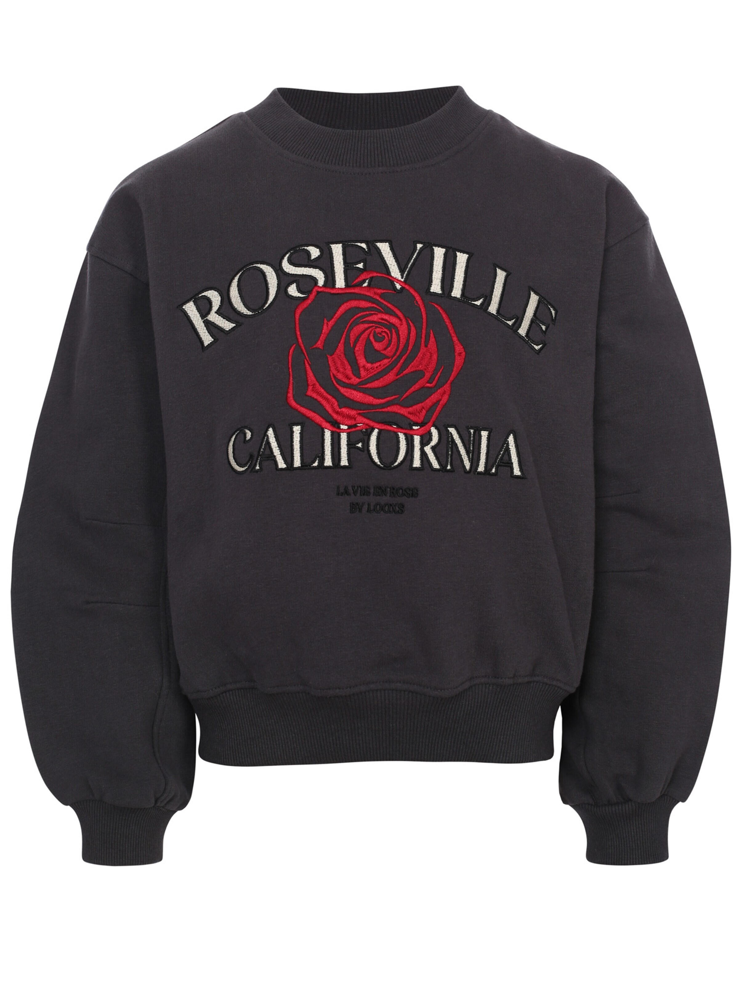 Sweat-shirt Looxs Revolution en gris : devant