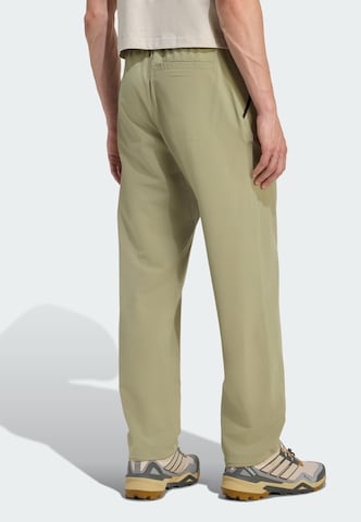 ADIDAS TERREX Regular Outdoor Pants 'Multi Liteflex' in Green