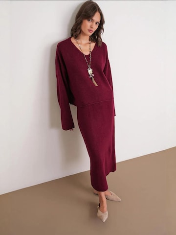Tailleur di MixRay in rosso