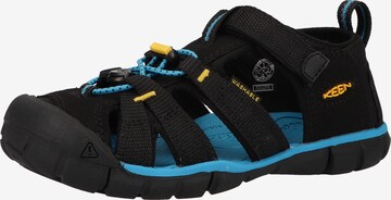 KEEN Sandals in Black: front