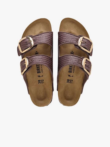 BIRKENSTOCK Mules in Brown