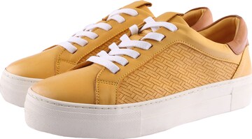 D.MoRo Shoes Sneakers in Yellow: front