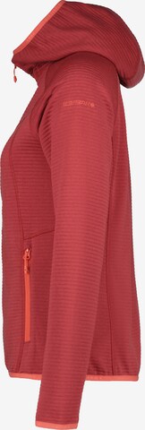 ICEPEAK Athletic fleece jacket 'BERRYVILLE' in Pink