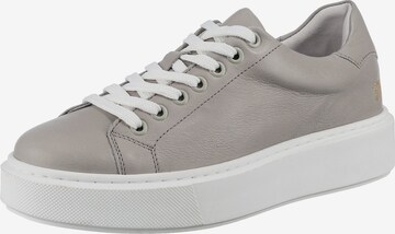 Apple of Eden Sneakers in Grey: front