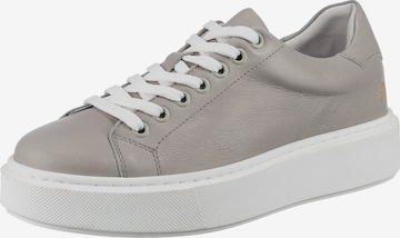 Apple of Eden Sneakers in Grey: front