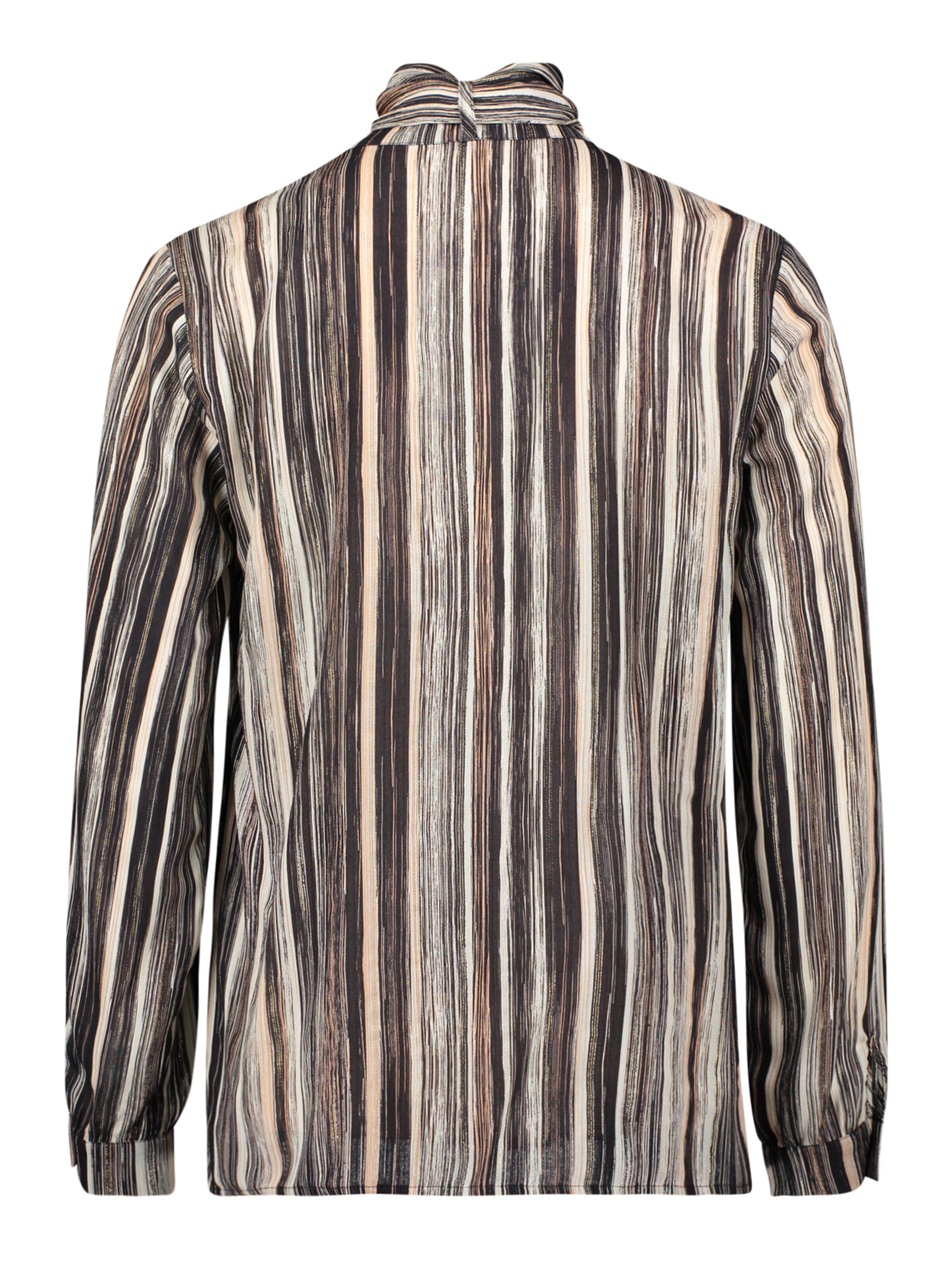 Betty Barclay Blouse in Mixed colours