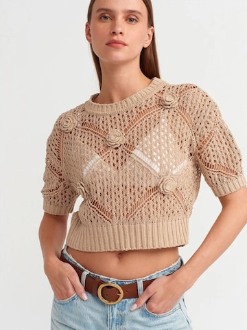 Dilvin Pullover 'Pullover'‌‌‌‌‌‌‌‌‌‌ in Beige