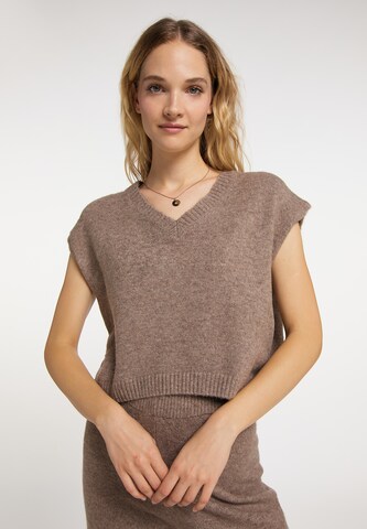 DreiMaster Vintage Pullover in Braun: predná strana