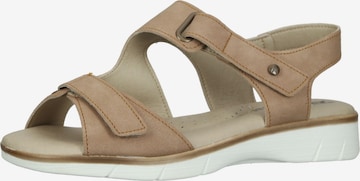 Arcopedico Strap Sandals in Brown: front