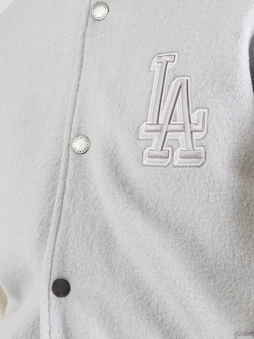 Champion Authentic Athletic ApparelPrijelazna jakna - siva boja