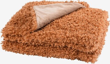 Depot Blankets 'Curly' in Brown: front