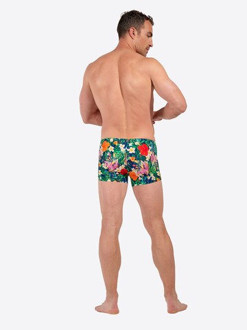 Shorts de bain ' Swim Shorts Peacock ' HOM en mélange de couleurs