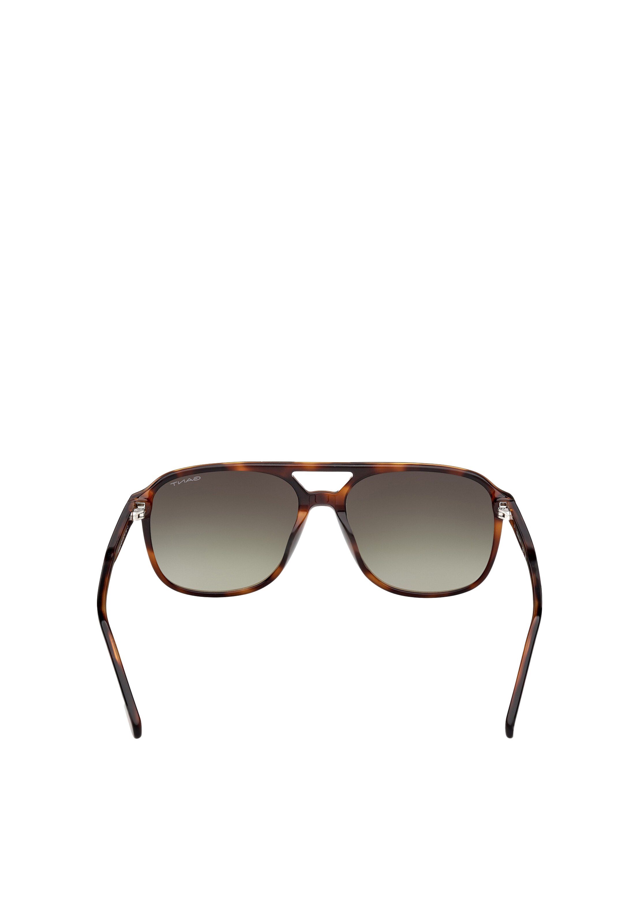 GANT Sunglasses in Brown