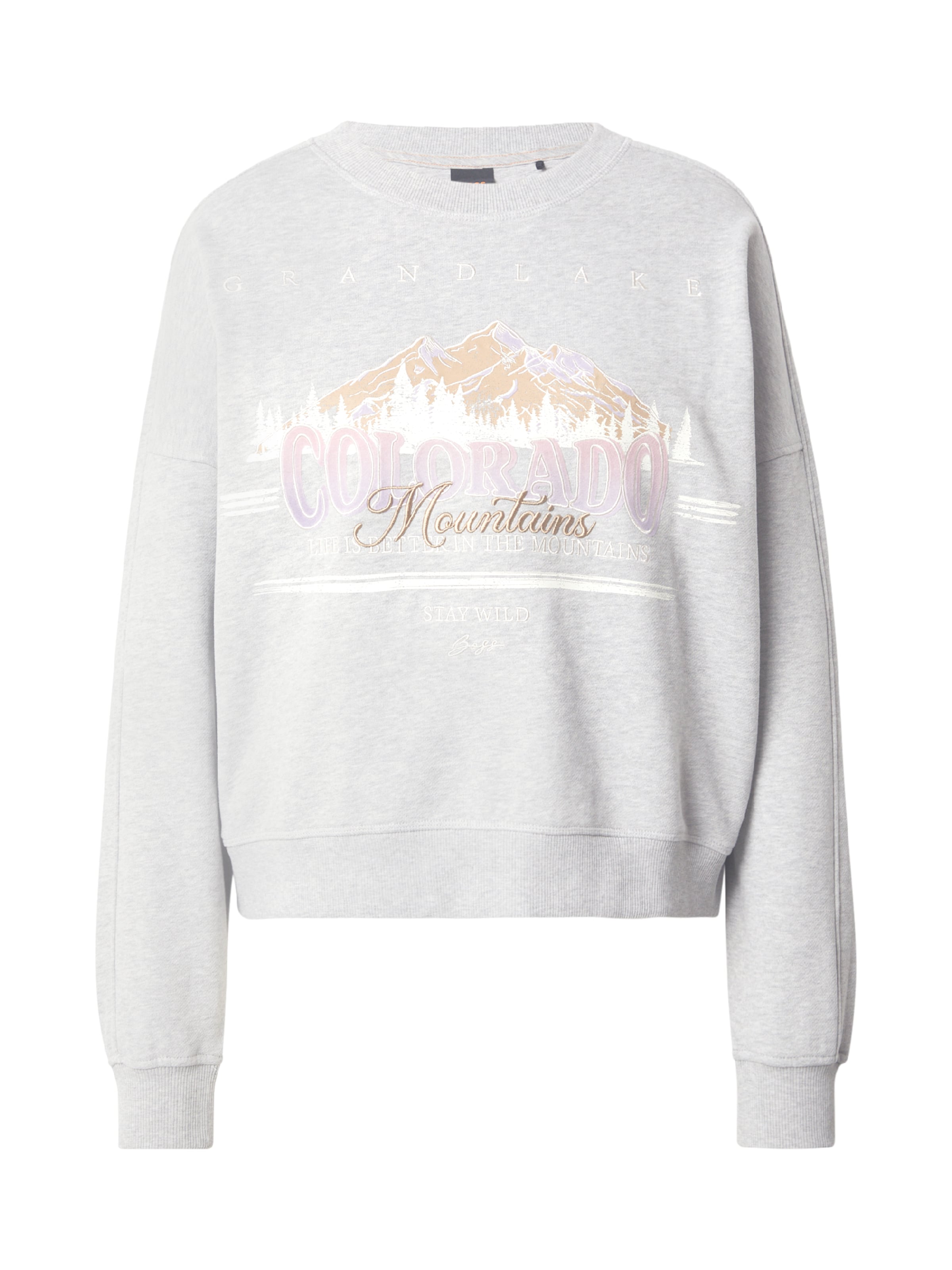 BOSS - Sudadera 'Eland' en gris: frente