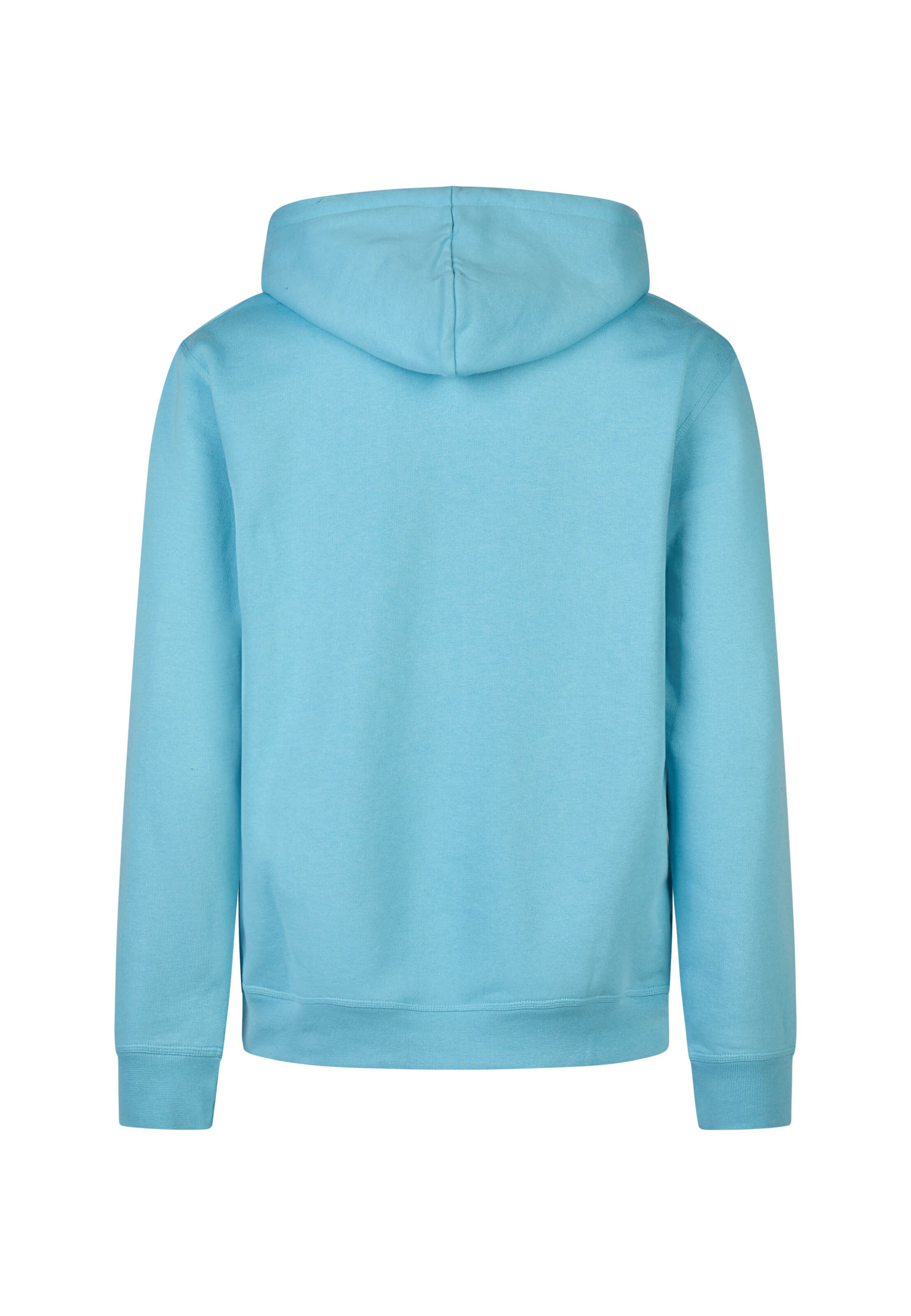 Cleptomanicx Sweatshirt 'Classic Hooded Storm Gull' in Blue