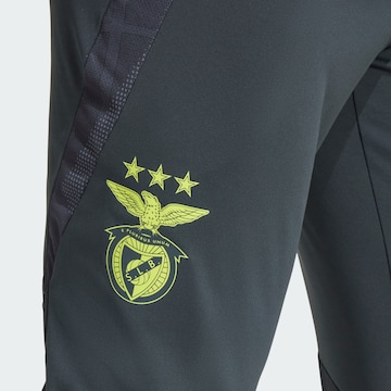ADIDAS PERFORMANCE Slimfit Sporthose 'Benfica Tiro 24' in Grau