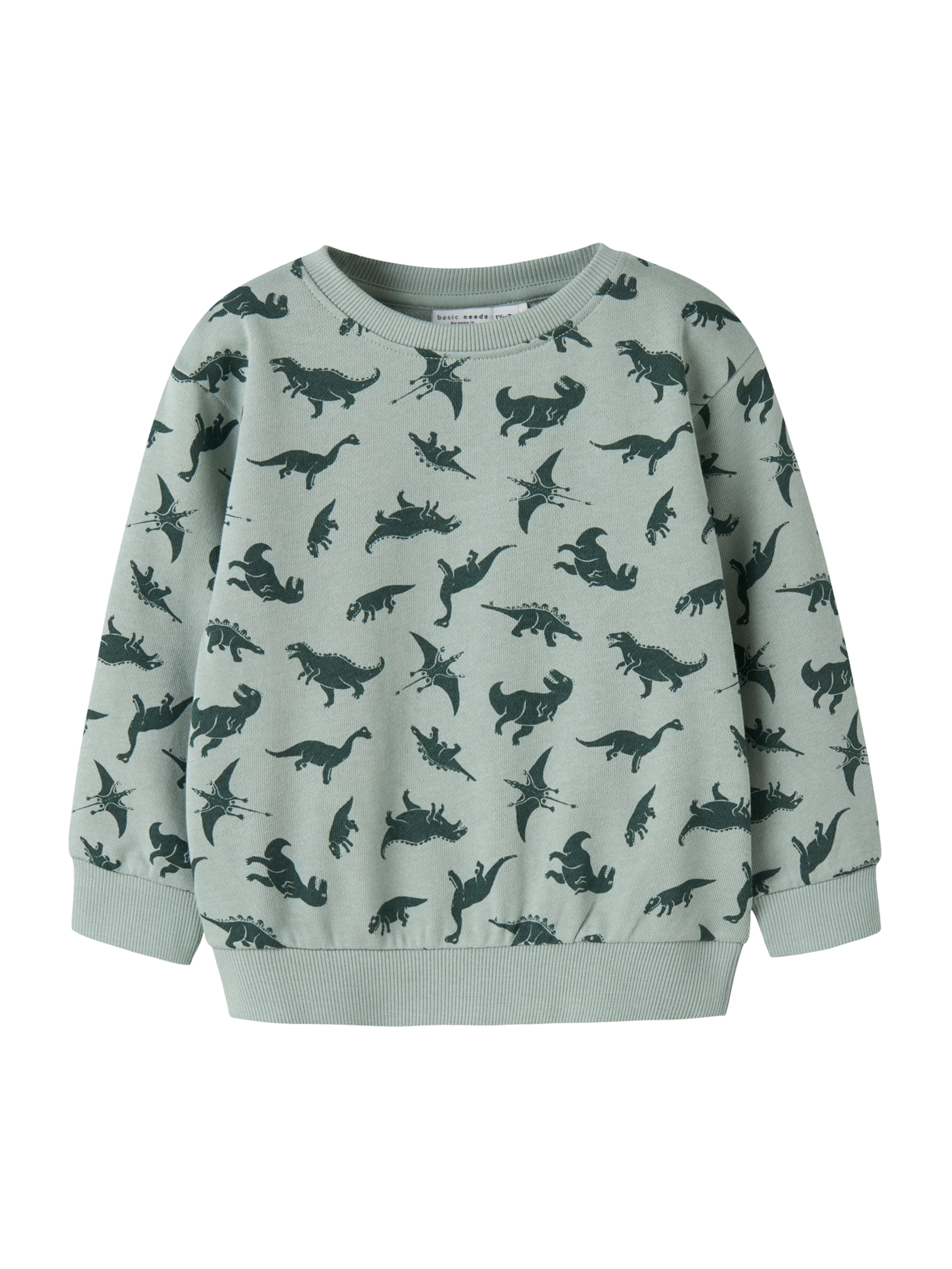 NAME IT Μπλούζα φούτερ 'NMMVIFELIX' σε πράσινο: μπροστά