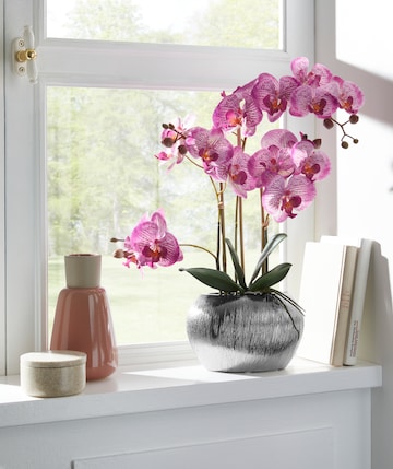 HOME AFFAIRE Artificial plants in Pink: front