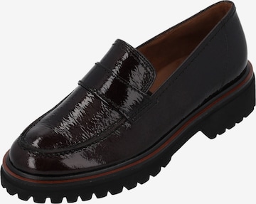 Paul Green Slipper '2683' in Braun: Vorderseite