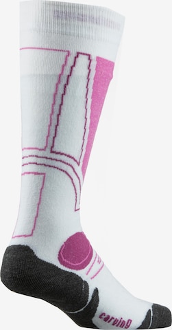 ROHNER Athletic Socks 'Carving' in Purple