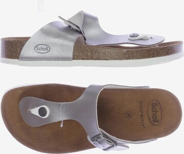SCHOLL Sandals & High-Heeled Sandals in 36 in Grey: front