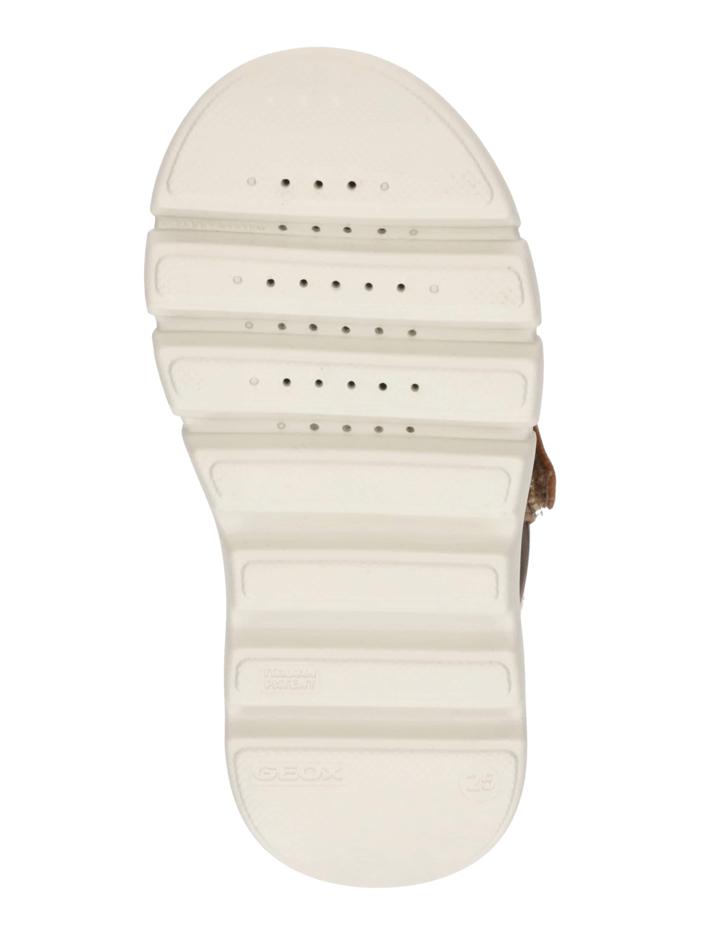 GEOX Сапоги 'Willaboom' в Коричневый