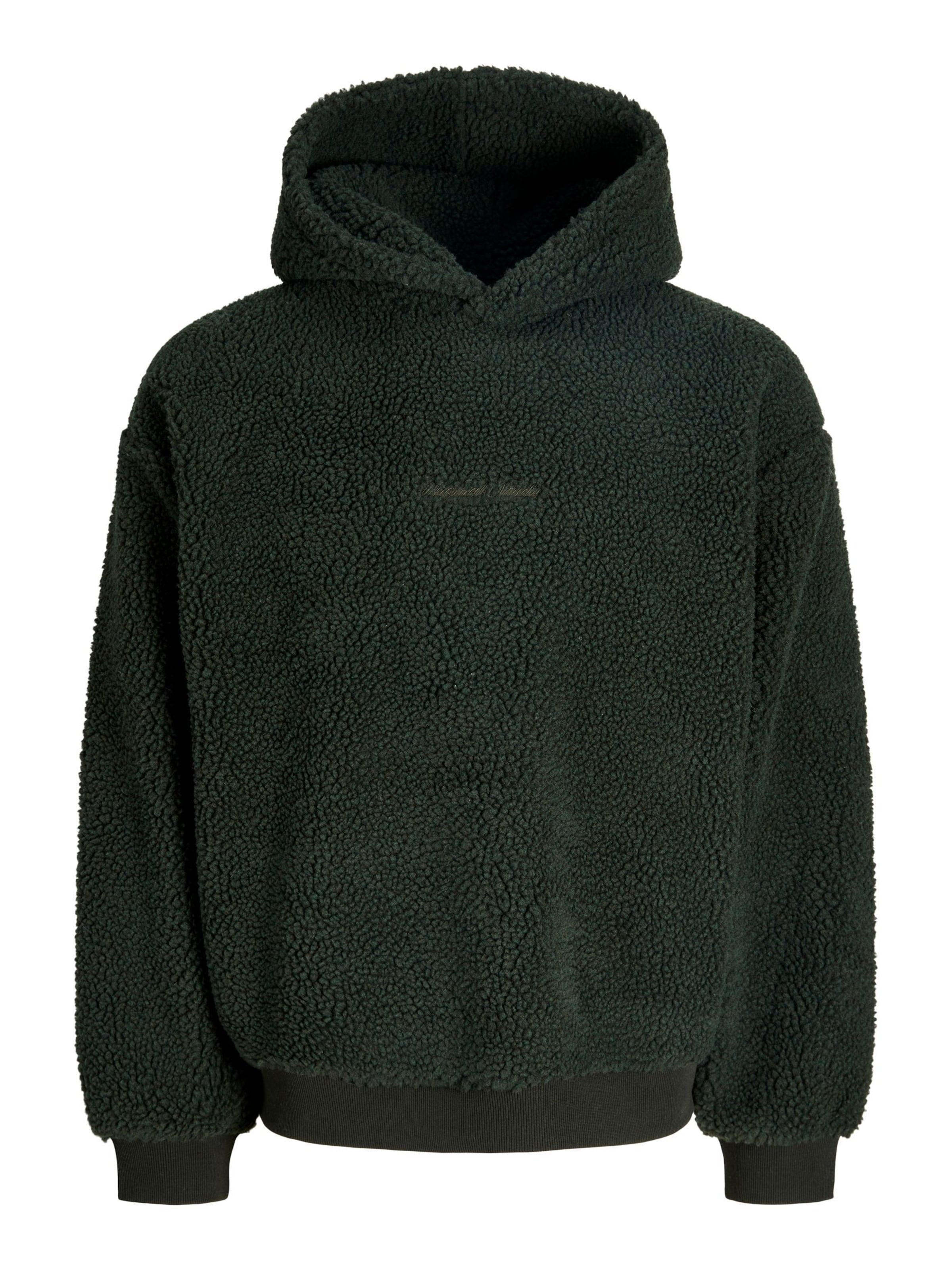 JACK & JONES Sweatshirt in Green: front