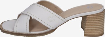 GERRY WEBER Slipper 'Garda 05' in Weiß: predná strana