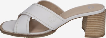 GERRY WEBER Classic Flats 'Garda 05' in White: front