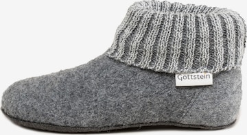 Gottstein Slipper 'Alpine Boot FE' in Grey: front