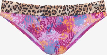 Pantaloncini per bikini di BUFFALO in colori misti: frontale