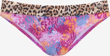 BUFFALO Bikini bottom in Mixed colours: front