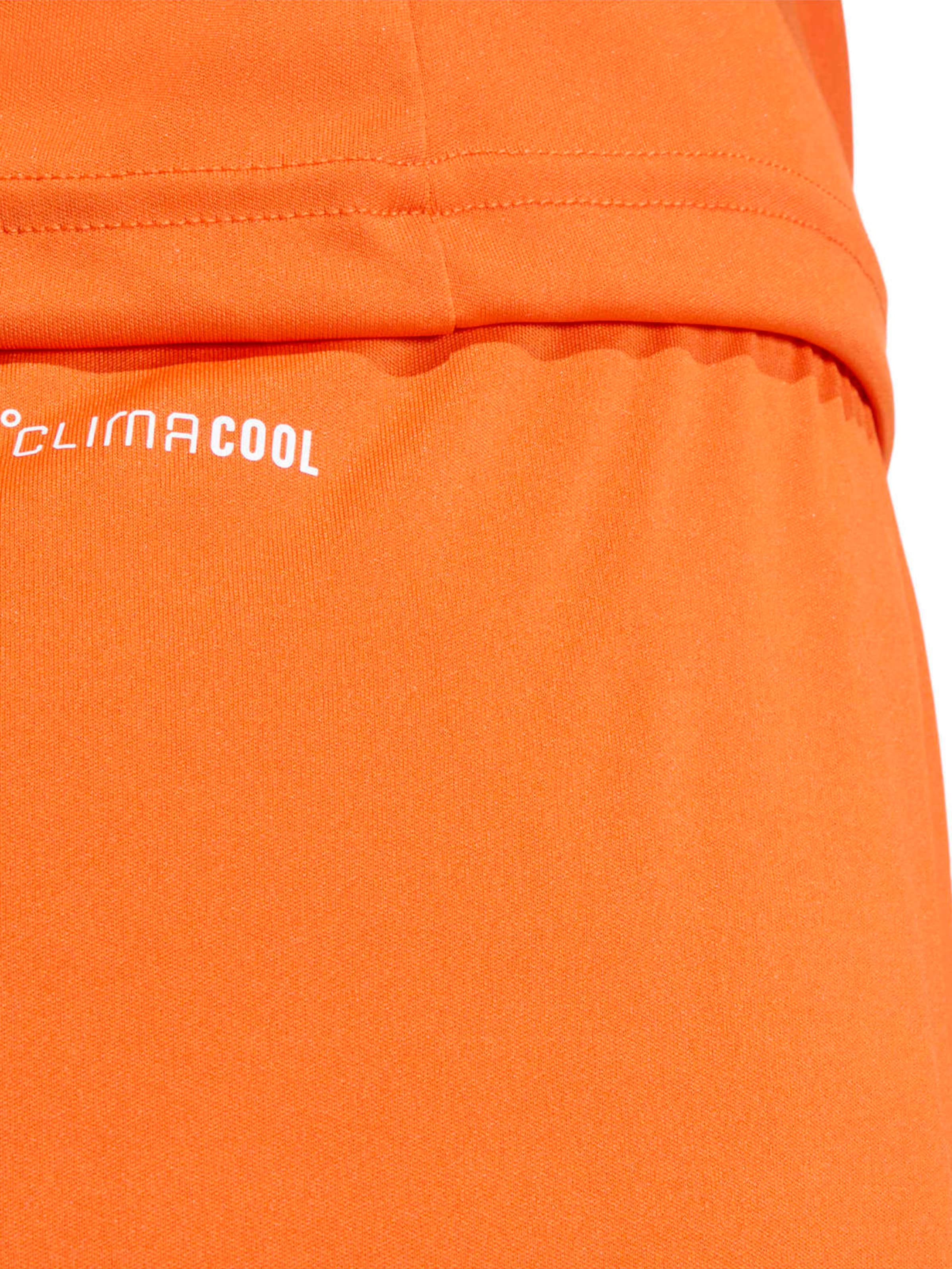 ADIDAS PERFORMANCE - Regular Calças de desporto 'ENT26' em laranja