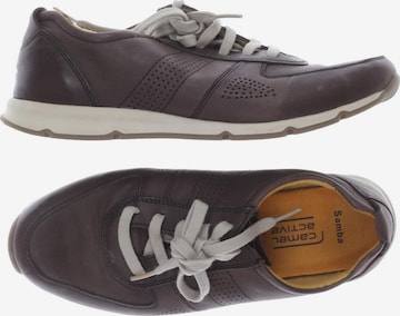 CAMEL ACTIVE Sneakers & Trainers in 38 in Brown: front