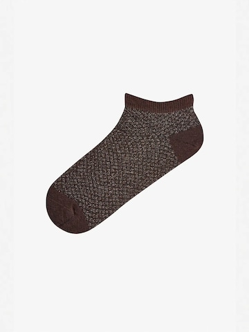 Penti Sukapöiad 'PENTI Gemustertes Baumwoll-Glitzer 2er-Pack Sneaker-Socken', värv segavärvid