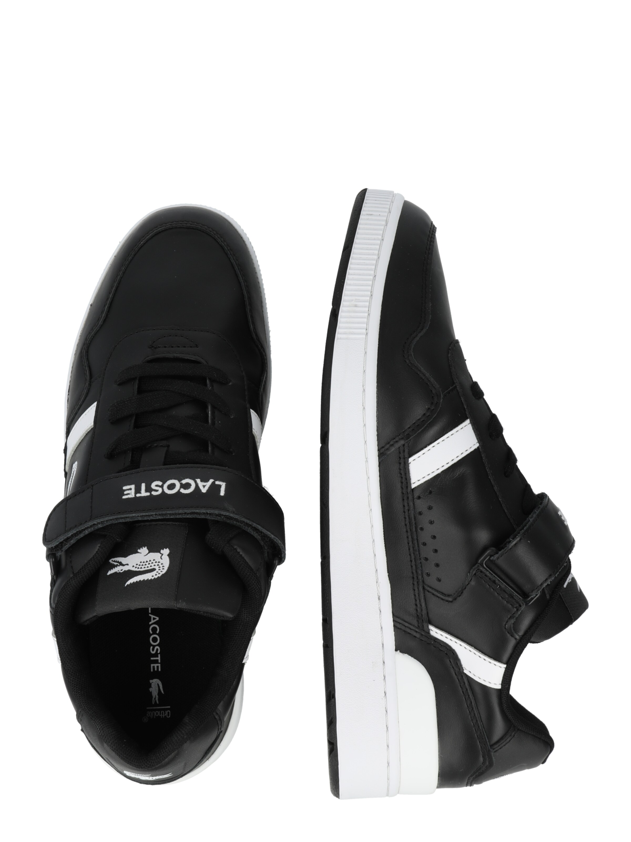 Sneaker bassa di LACOSTE in nero