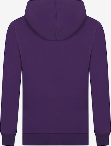 DENIM CULTURE Zip-Up Hoodie 'PEDRO' in Purple