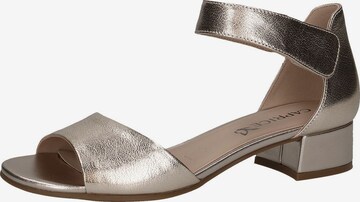 CAPRICE Sandals in Gold: front