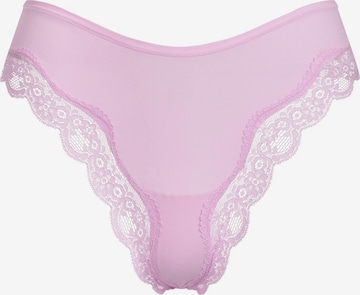 cfabTanga gaćice 'Lace Tanga' - ljubičasta boja: prednji dio