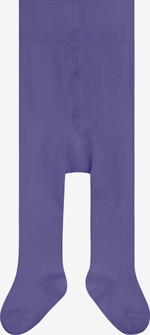 FALKE Tights 'Family' in Purple: front