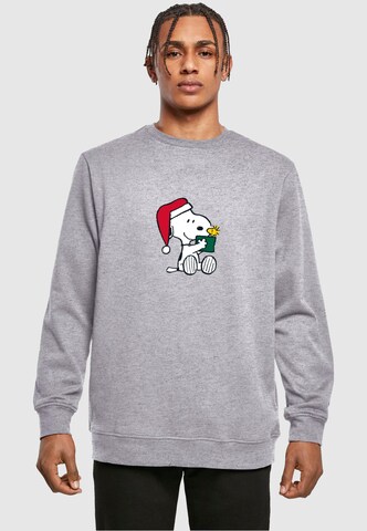 Sweat-shirt 'Peanuts Snoopy and Woodstock' Merchcode en gris : devant