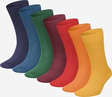 Chaussettes DillySocks en mélange de couleurs : devant