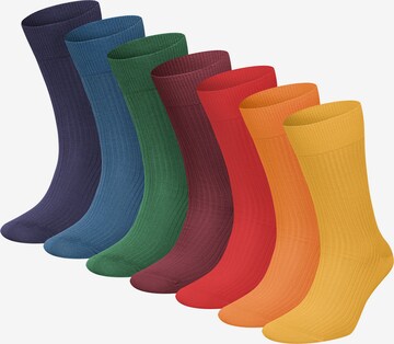 DillySocks Socken in Mischfarben: Vorderseite