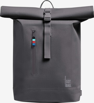 Zaino di Got Bag in grigio: frontale