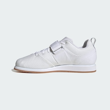 Chaussure de sport 'Powerlift 5' ADIDAS PERFORMANCE en blanc