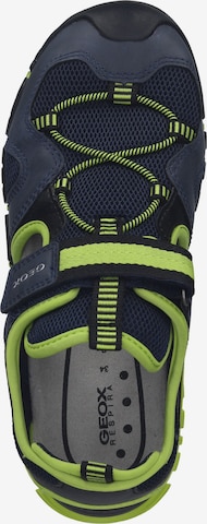 Chaussures ouvertes GEOX en bleu