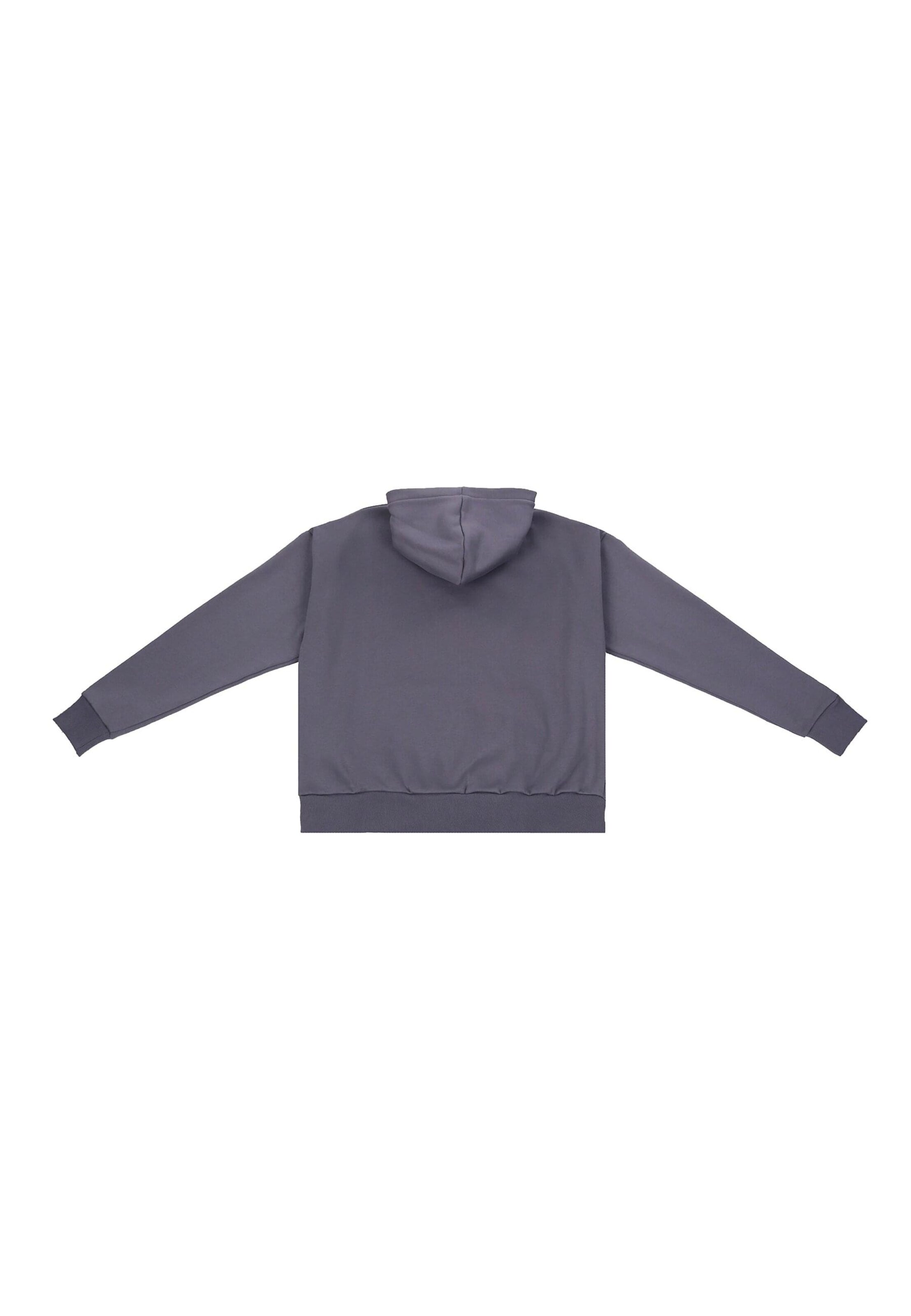 Dropsize Sweatshirt in Grey